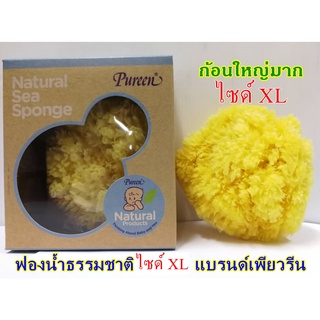 Pureen ฟองน้ำธรรมชาติ 100% Size XL  honey comb (ก้อนใหญ่) อาบน้ำ สระผม เด็กทารก