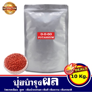 ปุ๋ยบำรุงผล 0-0-60 บรรจุ 10 กิโลกรัม ปุ๋ยเพิ่มน้ำหนัก ปุ๋ยเพิ่มความหวาน เพิ่มสี รสชาติ ขยายผล สำหรับ ไม้ผล พืช ผักกินผล