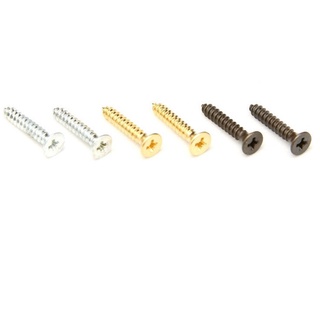 Floydrose Original Nut Mounting Screws (Top) / สกรูวล็อกนัท (จากด้านหน้า) ชุด 2 ชิ้น อะไหล่กีต้าร์