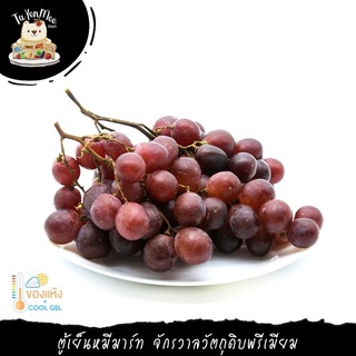 1KG/PACK องุ่นแดงนอกขนาดใหญ่ คัดเกรด RED GRAPE BIG SIZE (IMPORTED)