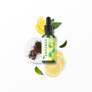 Super Lemonade | เทอร์ปีนส์กลิ่น Citrus, Earthy และ Skunky