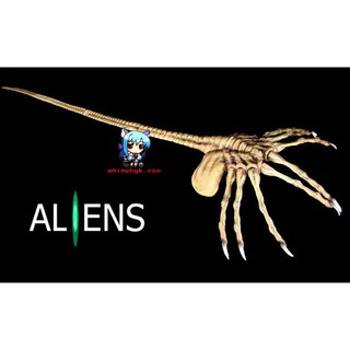 เอเลี่ยน เกาะหน้า Alien 3 Xenomorph face hugger 1/1 F vinyl model ไวนิล โมเดล ฟิกเกอร์ ฟิกเกอร์