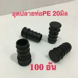 ตัวอุดปลายท่อPE 20มิล [100อัน]