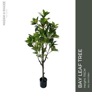 BAY LEAF TREE - Height 115 cm ต้นเบย์ลีฟ ความสูง 115 ซม.ต้นไม้ปลอมเกรดพรีเมี่ยมเพื่อการตกแต่ง