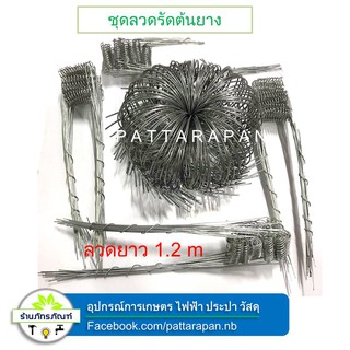 150 ชุด ลวดรัดต้นยาง ลวดรองจอกยาง ***ใช้สำหรับรองถ้วยขนาด 750 cc, 800 cc, 850 cc, 950 cc,1000 cc***