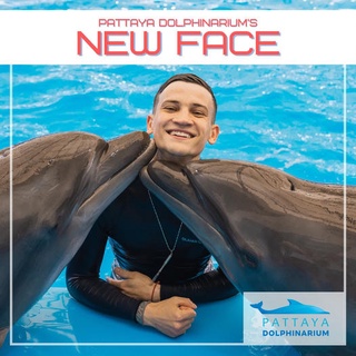 swim dolphin -ว่ายน้ำกับโลมา