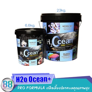 เกลือเลี้ยงปลาทะเล H2Ocean+ Pro Formula คุณภาพสูงจากยุโรป ขนาด 6.6 kg./23kg.