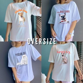 เสื้อลายแมว ทาสแมว *ส่งฟรี* Oversize พร้อมส่ง-PRE สีขาว ผ้า Cotton100%