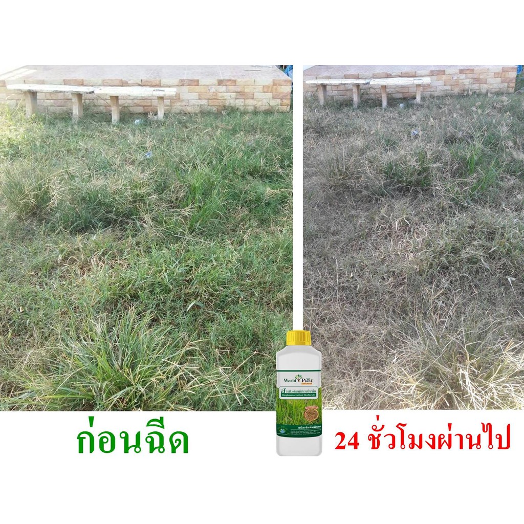 My Image 13
