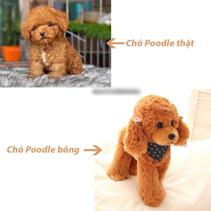 นําเข ้ าคุณภาพสูงนําเข ้ า Poodle Teddy Dog - Bear House