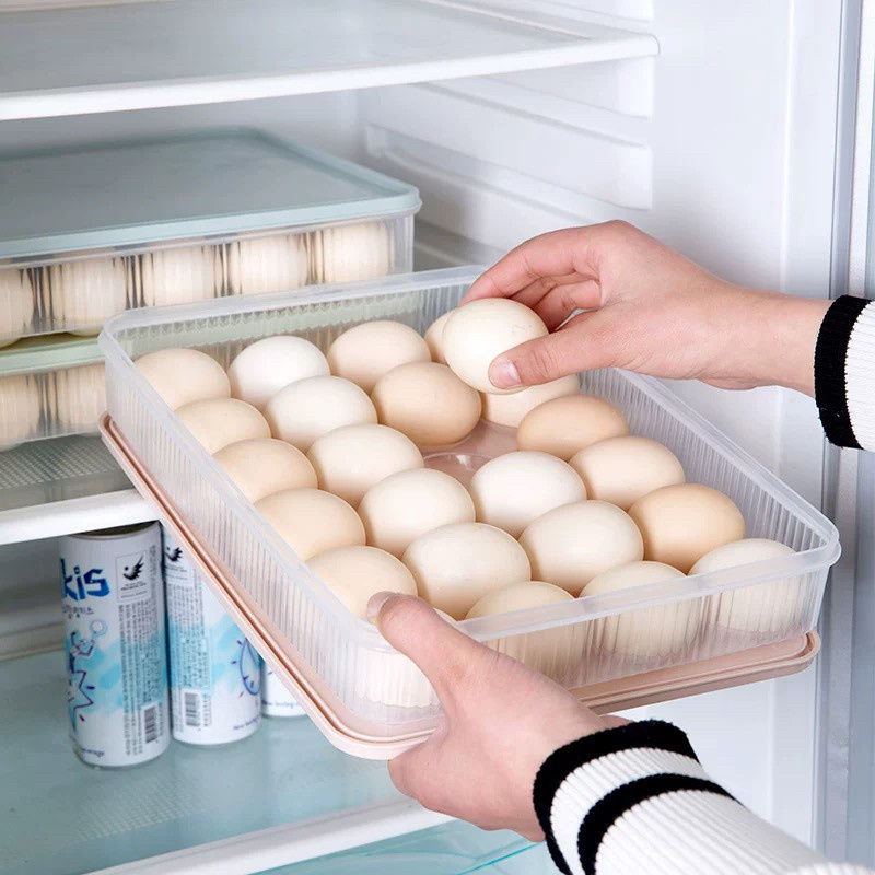 🐣 กล่องใส่ไข่ ใส่ไข่ อเนกประสงค์ มี（15ช่องและ24ช่อง）กล่องใส่ไข่กันแตก น้ำหนักเบาพกพาได้ สะดวกสบาย ทนทาน