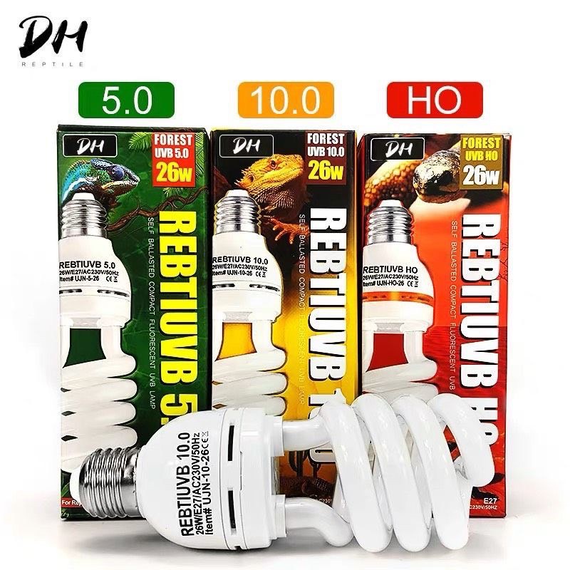 [แนะนำ]DH UVB หลอดไฟ UVB​ 26W สำหรับเต่าบก สัตว์เลื้อยคลาน 5.010.0HO ความเข้มข้นของUVBสูง