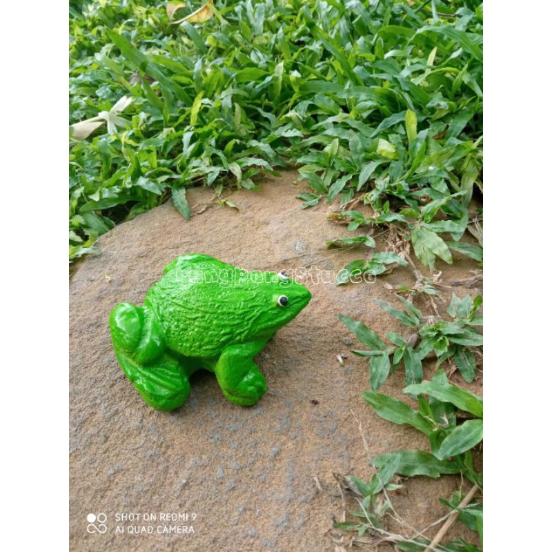 ตุ๊กตาปูนปั้นกบตกแต่งสวนสวยมีให้เลือก 2 สี น่ารักมาก สนใจสั่งซื้อได้คะ ราคาถูก ราคา ถูกที่สุด ดีลบีเคเค แกลเลอรีภาพที่ 2