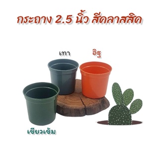 37POTS (ซื้อ 1 แถม 1) กระถางพลาสติก กระถางแคคตัส 2.5 นิ้ว สีคลาสสิค