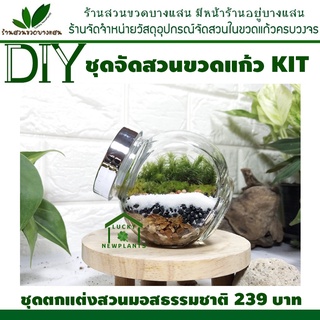 สวนในขวดแก้ว DIY KIT ราคา 239 บาท วัสดุอุปกรณ์ครบพร้อมจัด