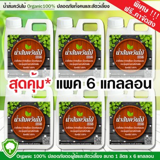 น้ำส้มควันไม้ 100% สูตรเข้มข้น (บรรจุแกลลอน 1 ลิตร*6 แกลลอน) ป้องกัน มด เพลี้ย และแมลงศัตรูพืช ป้องกันโรคเชื้อรา