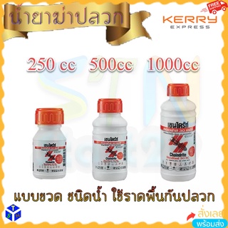 น้ำยากำจัดปลวกชนิดน้ำ น้ำยาราดพื้นสเตดฟาส CHAINDRITE รุ่น 30SC ขนาด 250 500 1000 ซีซี. ป้องกันมด แมลงที่อาศัยอยู่ใต้ดิน