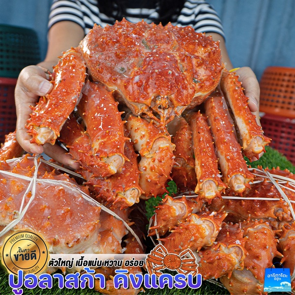 ปูอลาสก้า เนื้อแน่น หวาน อร่อย เต็มคำ