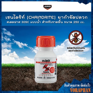 เชนไดร้ท์ (CHAINDRITE) ยากำจัดปลวก สเตดฟาส 30SC แบบน้ำ สำหรับราดพื้น ขนาด 250 cc.