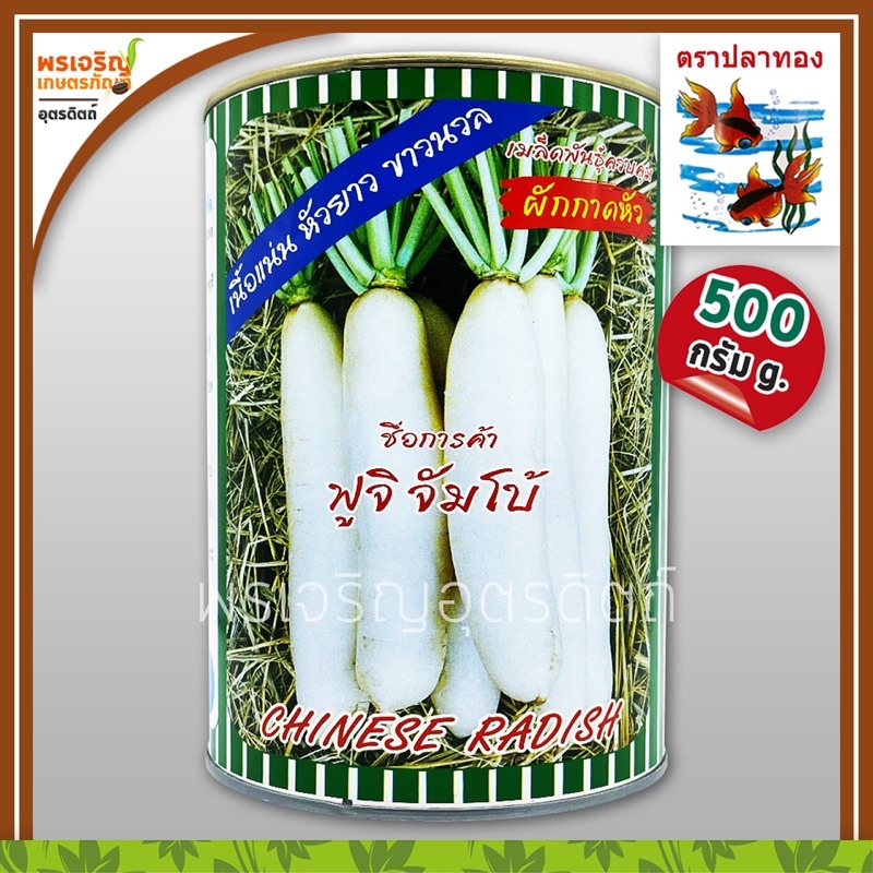 เมล็ดพันธุ์ ผักกาดหัว ฟูจิ จัมโบ้ (500 กรัม) เมล็ดผักกาดหัวขาว เมล็ดหัวไชเท้า หัวผักกาด เมล็ดพันธุ์ผักสวนครัว ตราปลาทอง