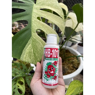 HB-101 Natural Plant Vitalizer อาหารเสริมพืช ขนาด 100ml