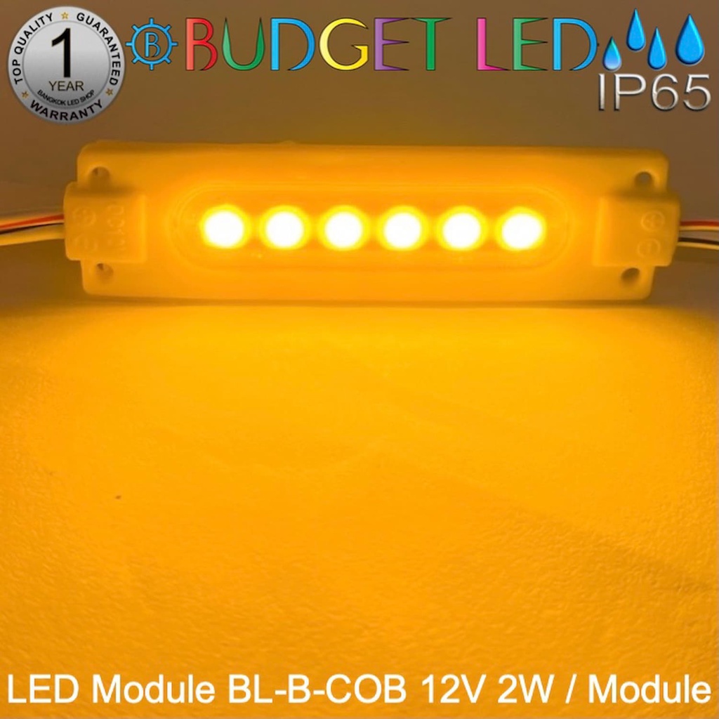 LED Module BL-B-COB DC-12V 2W/Module 40W/Panel แอลอีดีโมดูลกันน้ำ IP65 สำหรับป้ายไลท์บ็อกและป้ายโฆษณา ราคาต่อ 1 ชิ้น - รูปที่ 3