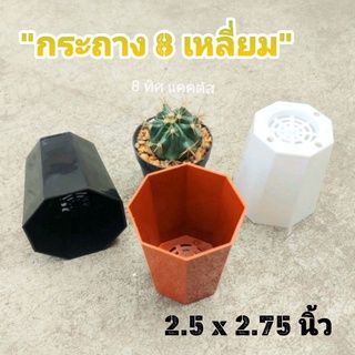 กระถาง พลาสติก 2.5 นิ้ว 8 เหลี่ยม //กด 12 ใบ 70฿ --กระถาง 8 เหลี่ยม แคคตัส กระบองเพชร กระถางพลาสติก