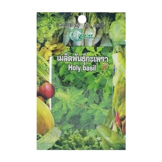 [พร้อมส่ง] HomeDoDee เมล็ดพันธุ์กะเพรา กรีน การ์เด้น เมล็ด เมล็ดพันธุ์ เมล็ดพันธุ์พืช