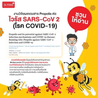 แพ็ค3 โพรโพลิสเข้มข้น Dr.Pong Bee Propolis Supermint mouth spray เม้าท์สเปรย์ สำหรับช่องปากและคอ พ่นชุ่มคอ บรรเทาเจ็บคอ