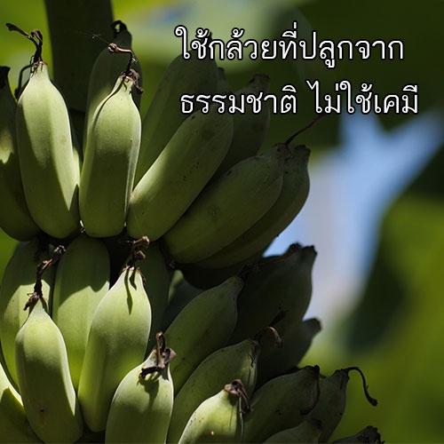 กินดึกแบบไม่รู้สึกผิด หิวบ่อยกินจุกจิก กล้วยแว่น กล้วยอบ RS กล้วยอบแห้ง กล้วยตากแห้ง ผลไม้อยู่ท้อง ผลไม้คีโต Dpasanaa รูปที่ 3