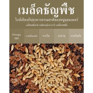 [Bucatstate]อาหารหนูแฮมเตอร์ H1 สำหรับทุกสายพันธุ์ BucatstateH1 Hamster food [BSH1]