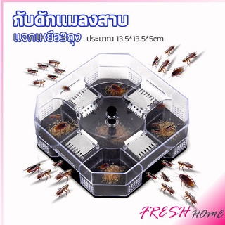 ที่ดักแมลงสาบ ที่ดักแมลงสาบ กล่องดักแมลงสาบ  cockroach trap