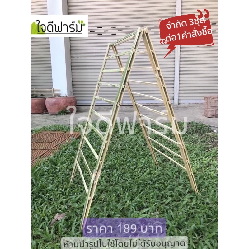 ค้างไม้เลื้อย,ค้างผัก,ค้างดอกไม้ ขนาด100x50 ซม.1ชุดมี2 แผง189บาท ไม้หนาแข็งแรง