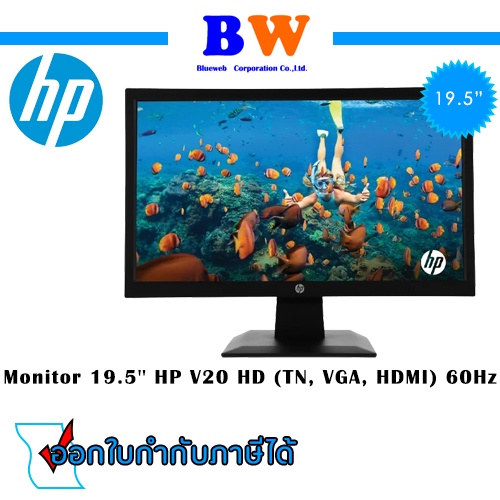 HP V20 HD 19.5-inch Monitor 1H849AA#AKL ประกัน 3 ปี