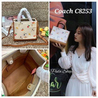 COACH (C8253) DEMSY TOTE WITH DREAMY VEGGIE PRINT