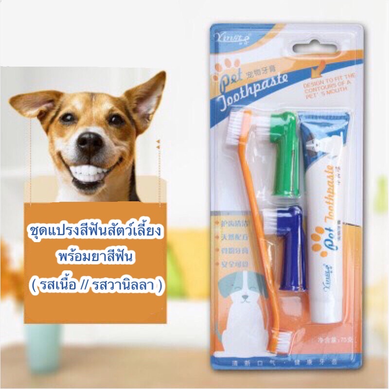 ชุดยาสีฟันสำหรับสุนัขและแมว