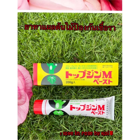 พร้อมส่ง ยาทาแผลต้นไม้ ป้องกันเชื้อรา ท๊อปซินเอ็มพาสี