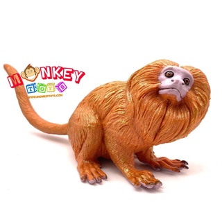 Monkey Toys - โมเดลสัตว์ ลิงไลออนทามารินสีทอง ขนาด 22.00 CM (จากหาดใหญ่)