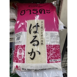 ข้าวญี่ปุ่น ฮารุคะ 5 Kg. Japonica Rice ข้าวญี่ปุ่นพันธุ์ดี ปลูกในประเทศไทย