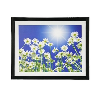 TSF กรอบรูป FRAME10 WHITE FLOWERS 35x45 cm (สีดำ)