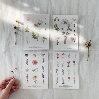 Botanical of flowers A6 sticker สติ๊กเกอร์ไดคัตลายดอกไม้ขนาด A6