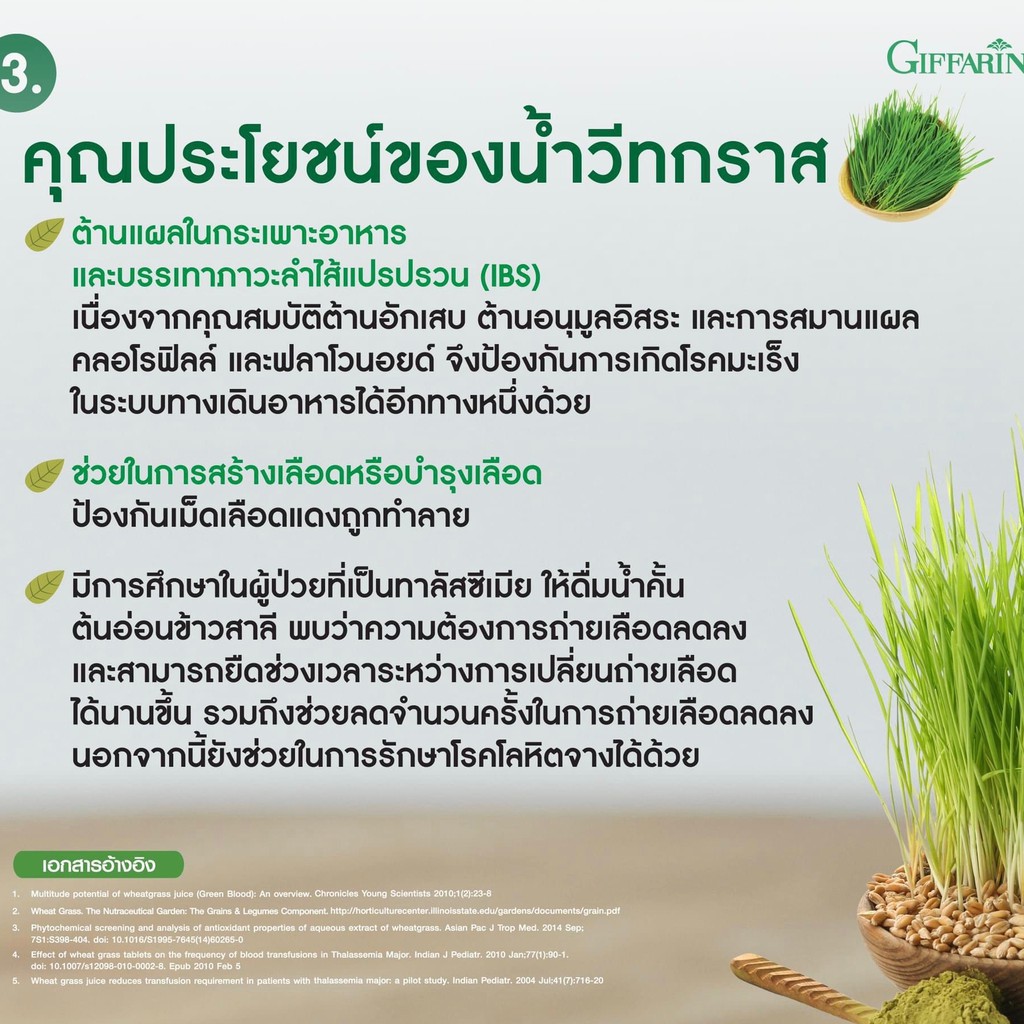 วีทกราส ภาวะโลหิตจาง ธาลัสซีเมีย ต้นอ่อนข้าวสาลี ใบอ่อนข้าวสาลี มีวิตามิน เอนไซม์ มีฤทธิ์เป็นสารต้านอนุมูลอิสระ