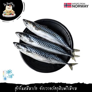 1.5KG/PACK ปลาซาบะแอตแลนติกนอร์เวย์ 3 ตัว ATLANTIC SABA (MACKEREL) 3 PCS