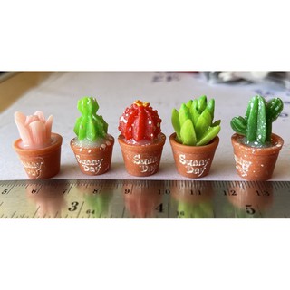 ตุ๊กตา ฟิกเกอร์ โมเดล กระบองเพชร 5 ชิ้น ราคา 50 บาท คละแบบ