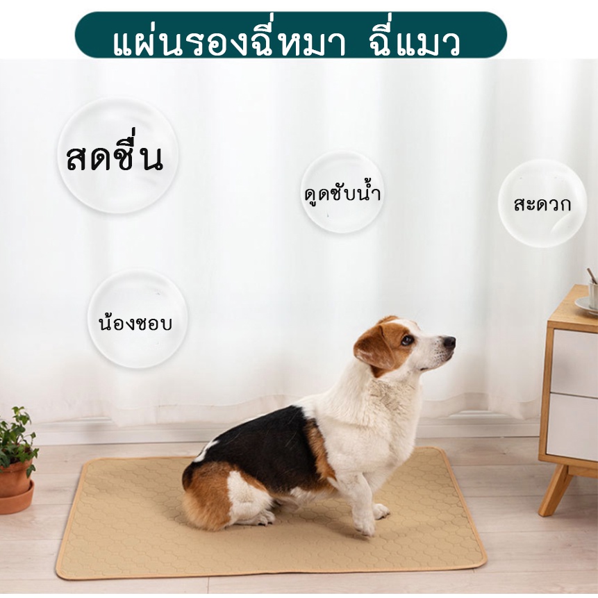 PP-114-2 แผ่นรองฉี่สัตว์เลี้ยง สุนัข หมา แบบซักได้ แผ่นฝึกขับถ่าย สามารถใช้ซ้ำได้ แผ่นซับฉี่ พร้อมส่ง