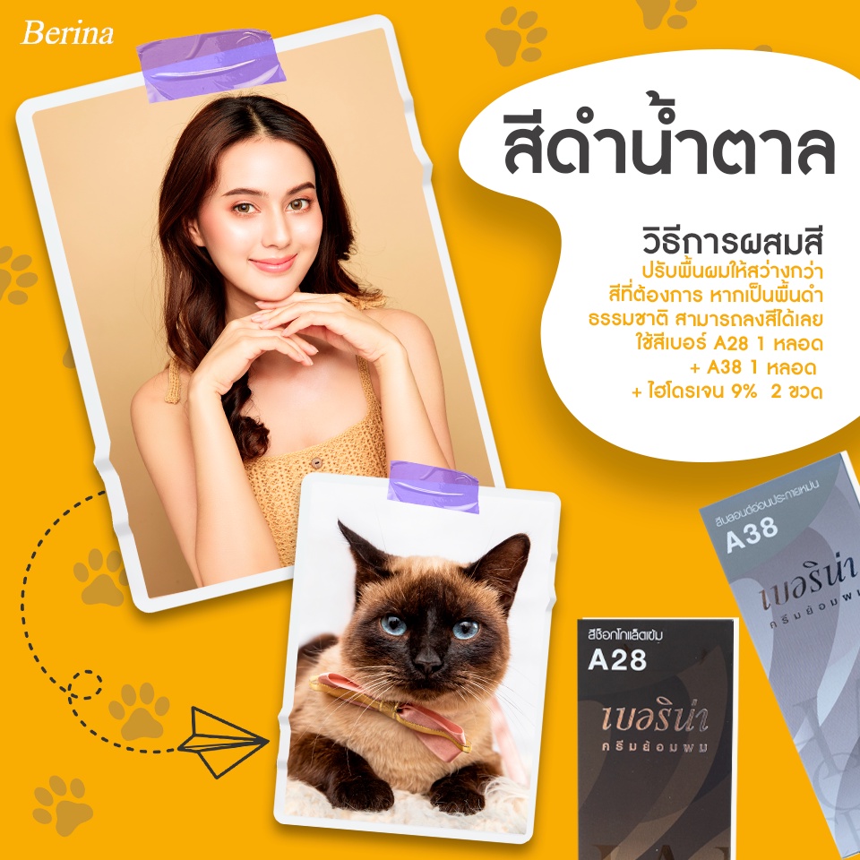 Berina(เบอริน่า) ยาย้อมผม ครีมย้อมผม สีน้ำตาลดาร์กช็อกโกแลต ใช้สีเบอริน่า A28+A38