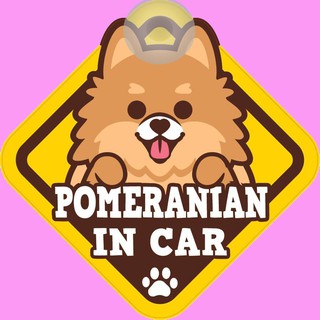 ป้ายติดรถยนต์ BOC9 จุ๊บติดกระจก  Pomeranian IN CAR ป้ายติดกระจก ป้าย สติ๊กเกอร์