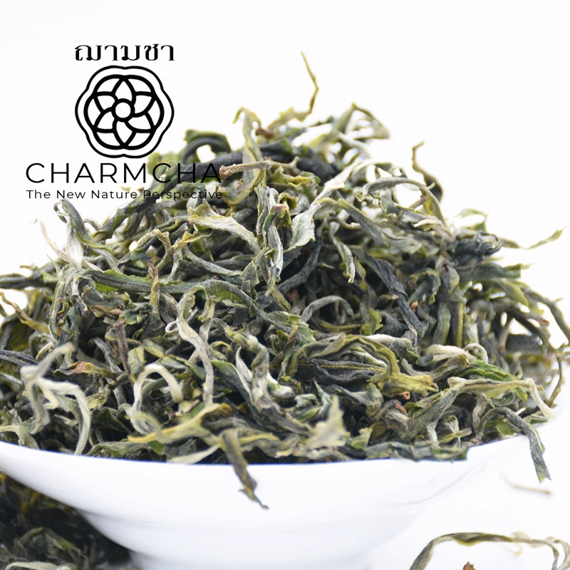 ใบชาผู่เอ๋อร์ (RaW Pu’er Tea) ใบชา พรีเมียม อุดมไปด้วยธาตุ ดื่มชาผ่อนคลายแล้วมีประโยชน์ Charmcha ฌามชา ชาผู่เอ่อ ยอดชา
