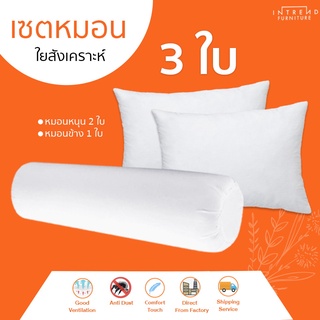 Furniture Intrend  หมอนหนุนใย 2 ใบ ใบแถมฟรี หมอนข้าง 1 ในราคาสุดคุ้ม 3ชิ้น ในโปรเดียว