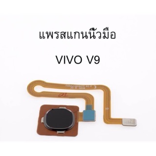 อะไหล่แพรสแกนนิ้วมือ Vivo V9 ใหม่ / แพรสแกนนิ้วVivo V9